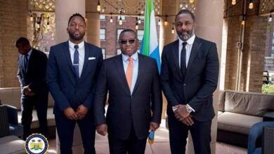 Idris Elba to Build Eco-Friendly "Smart City" in Sierra Leone